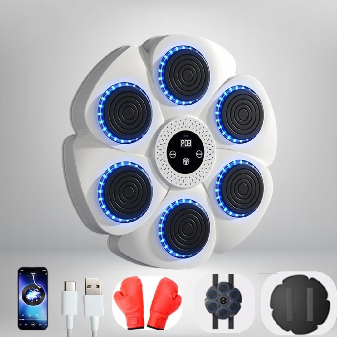 Interactive Boxing Machine PunchTech