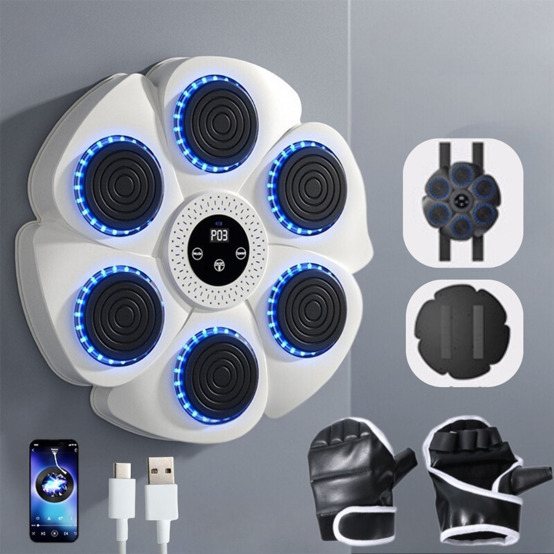 Interactive Boxing Machine PunchTech