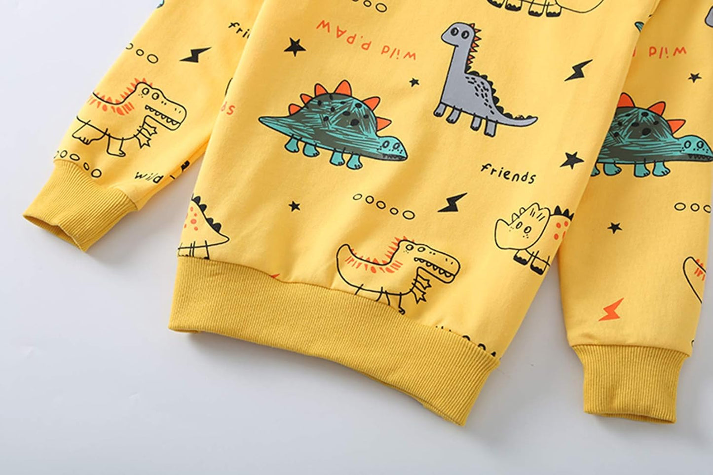 Kids Set: Dinosaur Print Boys Clothing Set