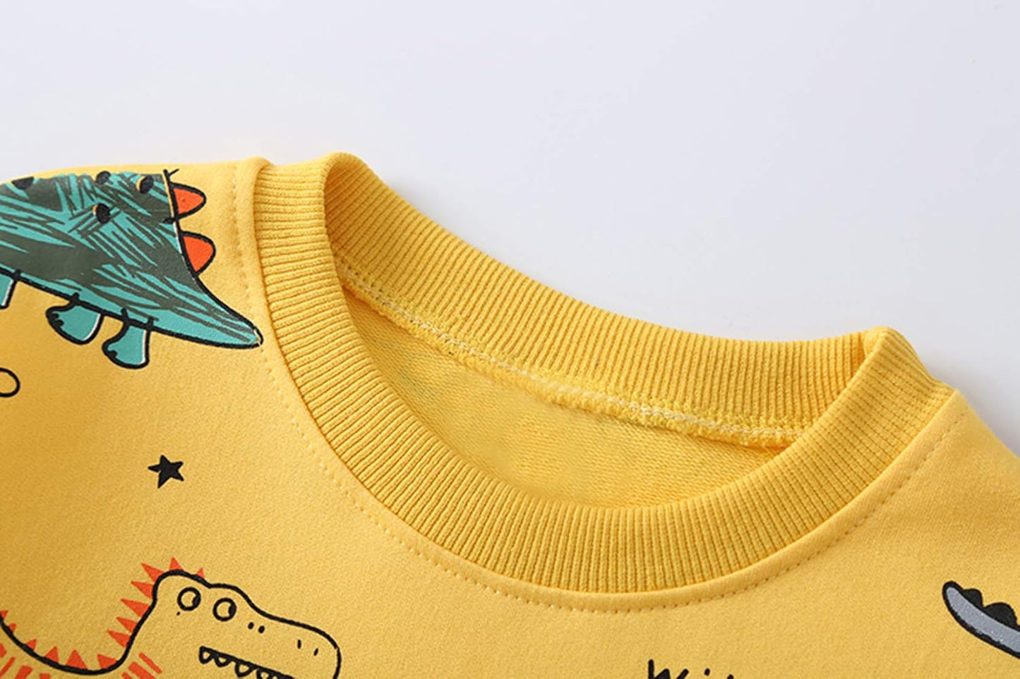 Kids Set: Dinosaur Print Boys Clothing Set