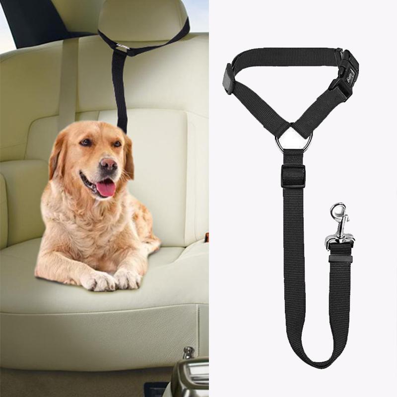 Laisse de chien réglable pour voiture - Sécurité et confort