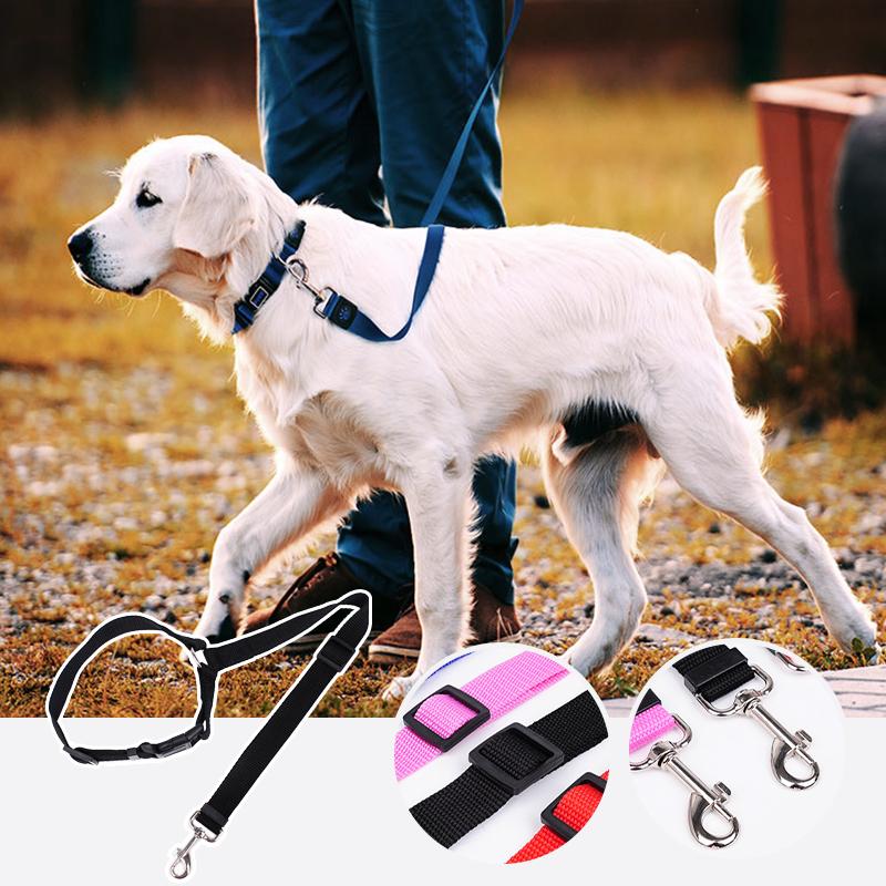 Laisse de chien réglable pour voiture - Sécurité et confort