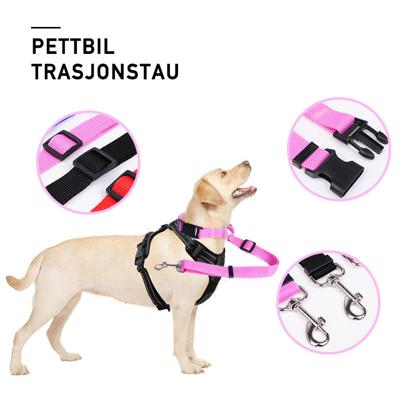Laisse de chien réglable pour voiture - Sécurité et confort