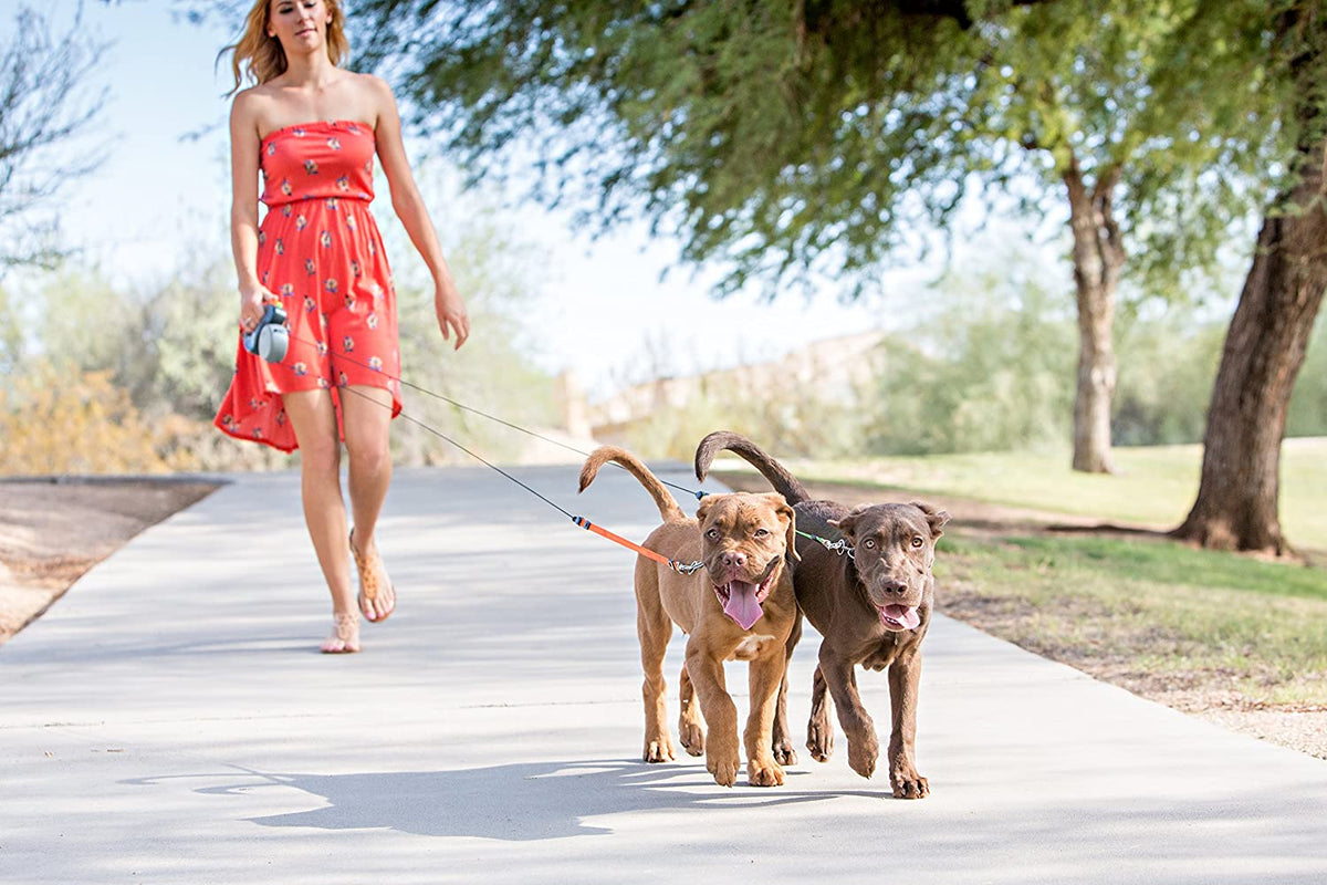 Laisse double pour chien – anti-emmêlement