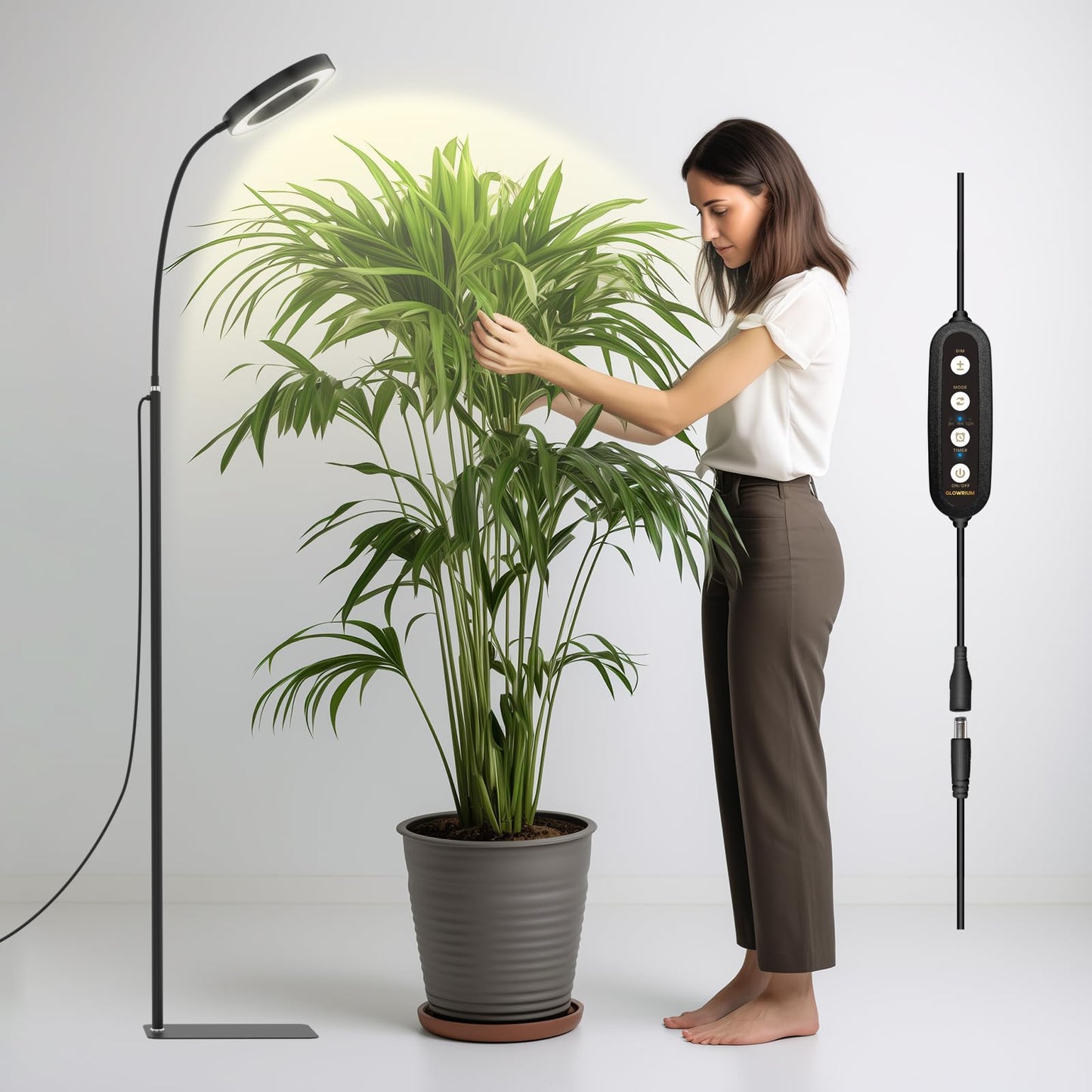 Lampe de croissance LED 20 W sur pied pour plantes d'intérieur avec minuterie automatique, spectre complet, hauteur réglable, 3 modes d'éclairage, intensité variable sur 6 niveaux (noir)
