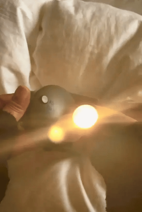 Lampe LED