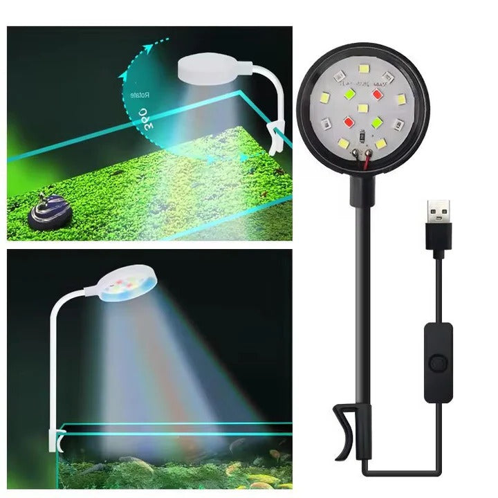 Lampe pour aquarium