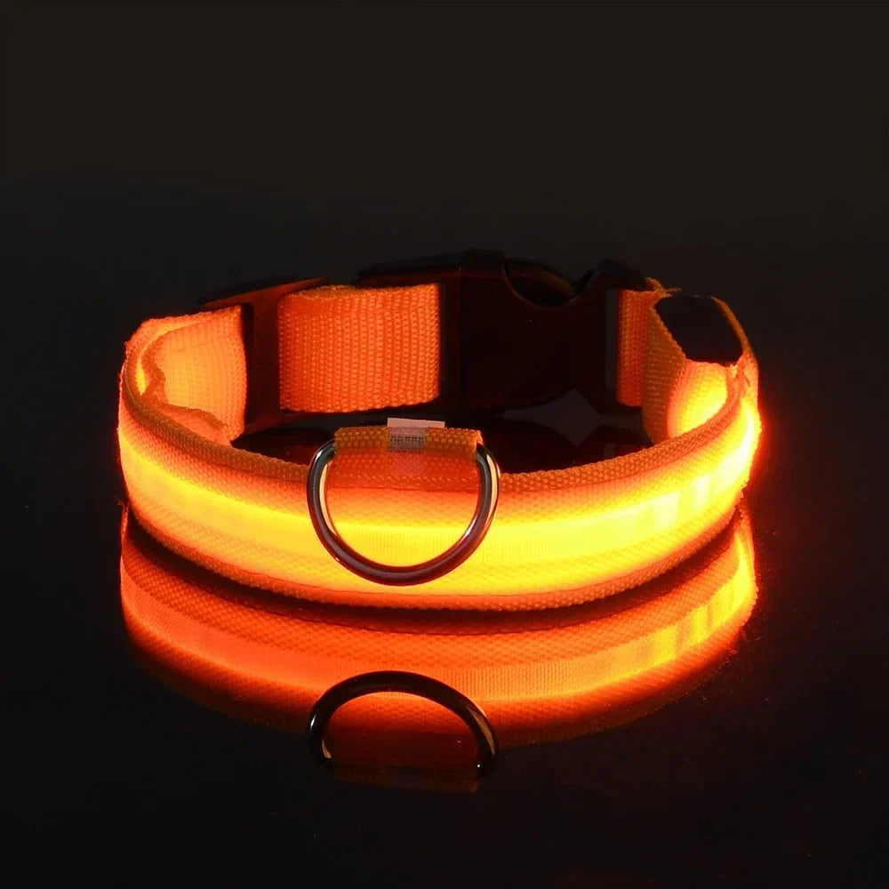 LED Fluorescent Dog Collar for Safe Evening Walks