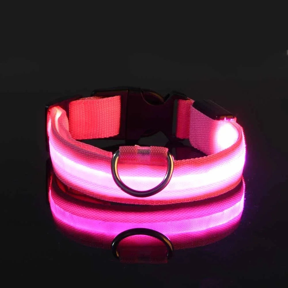 LED Fluorescent Dog Collar for Safe Evening Walks