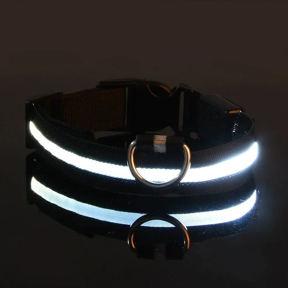LED Fluorescent Dog Collar for Safe Evening Walks