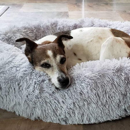 Lit orthopédique pour chien avec housse amovible – doux et très confortable