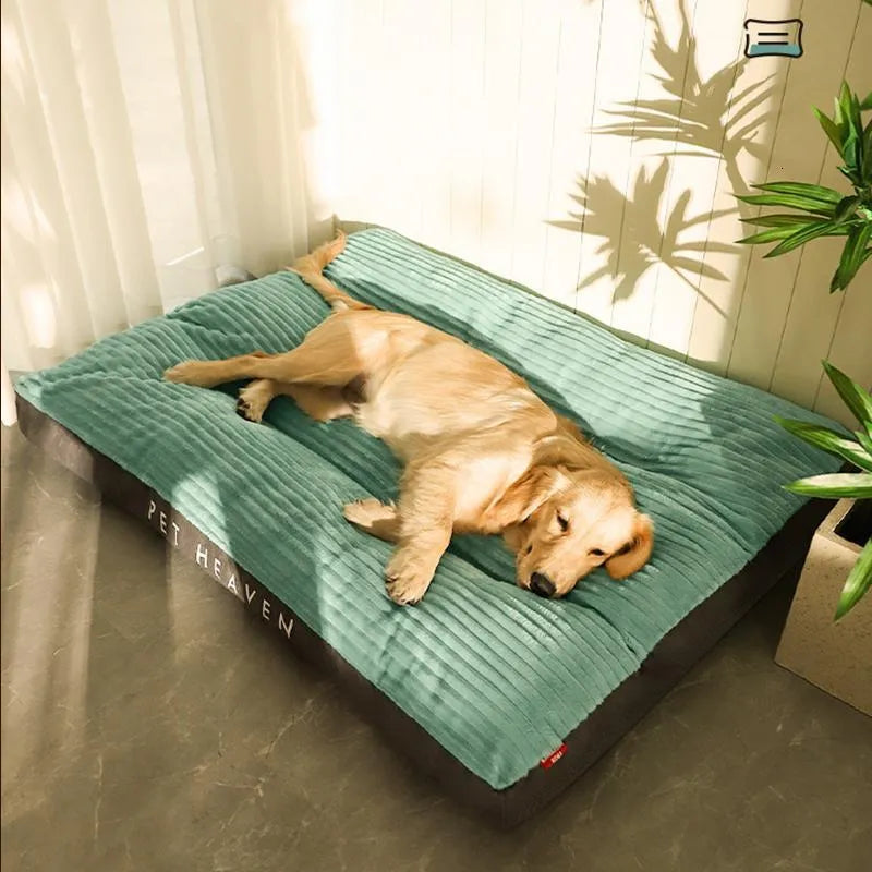 Lit orthopédique pour chien d'hiver