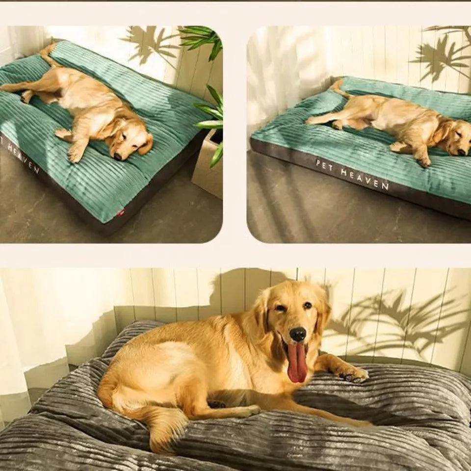 Lit orthopédique pour chien d'hiver