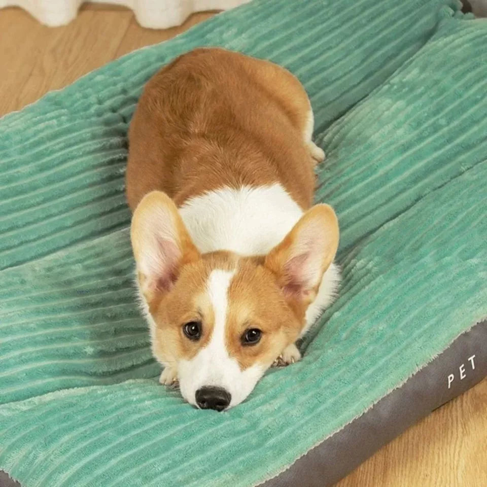 Lit orthopédique pour chien d'hiver