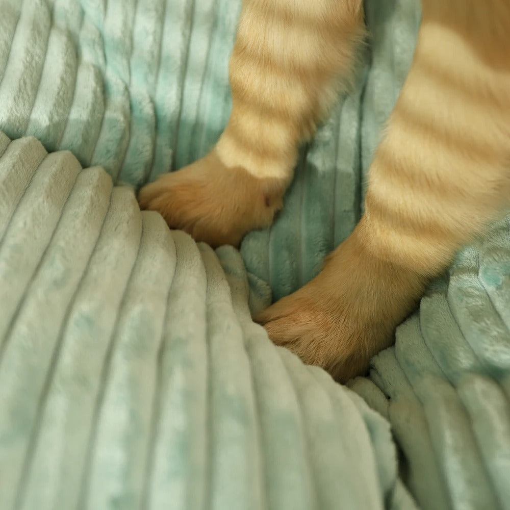 Lit orthopédique pour chien d'hiver