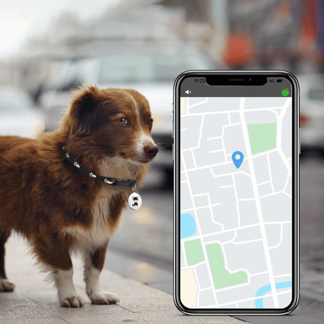 Localisateur GPS pour animaux avec suivi en temps réel et alarme sonore - design étanche pour chiens et chats