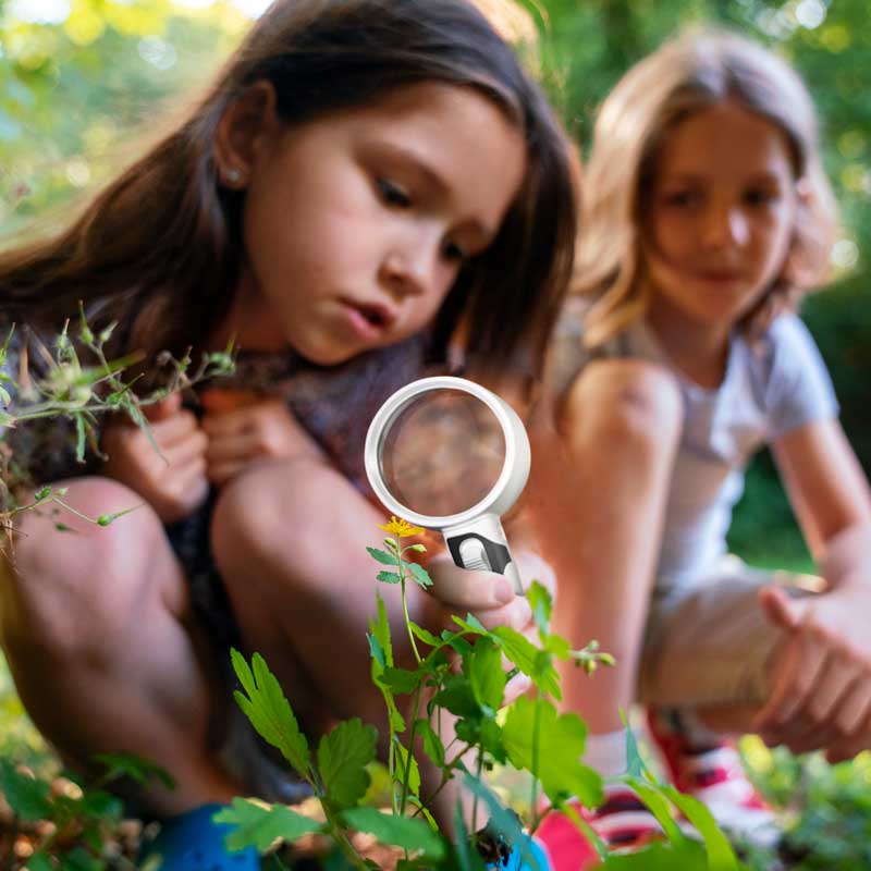 Loupe optique grossissante