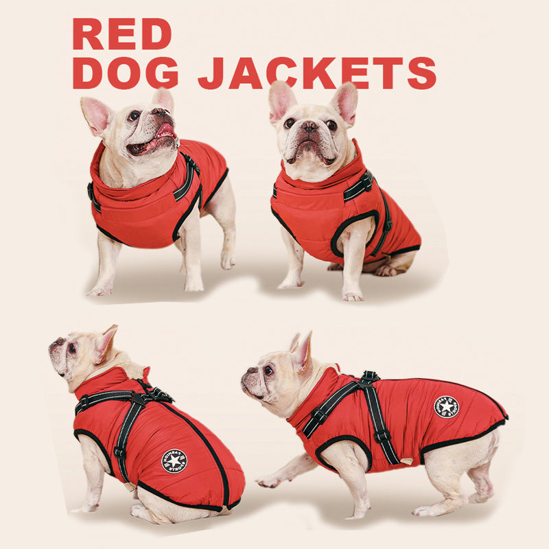 Manteau d'hiver chien 3-en-1 chaud, imperméable, coupe-vent avec harnais intégré