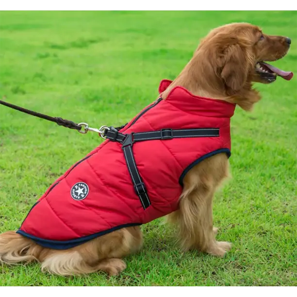 Manteau d'hiver chien 3-en-1 chaud, imperméable, coupe-vent avec harnais intégré