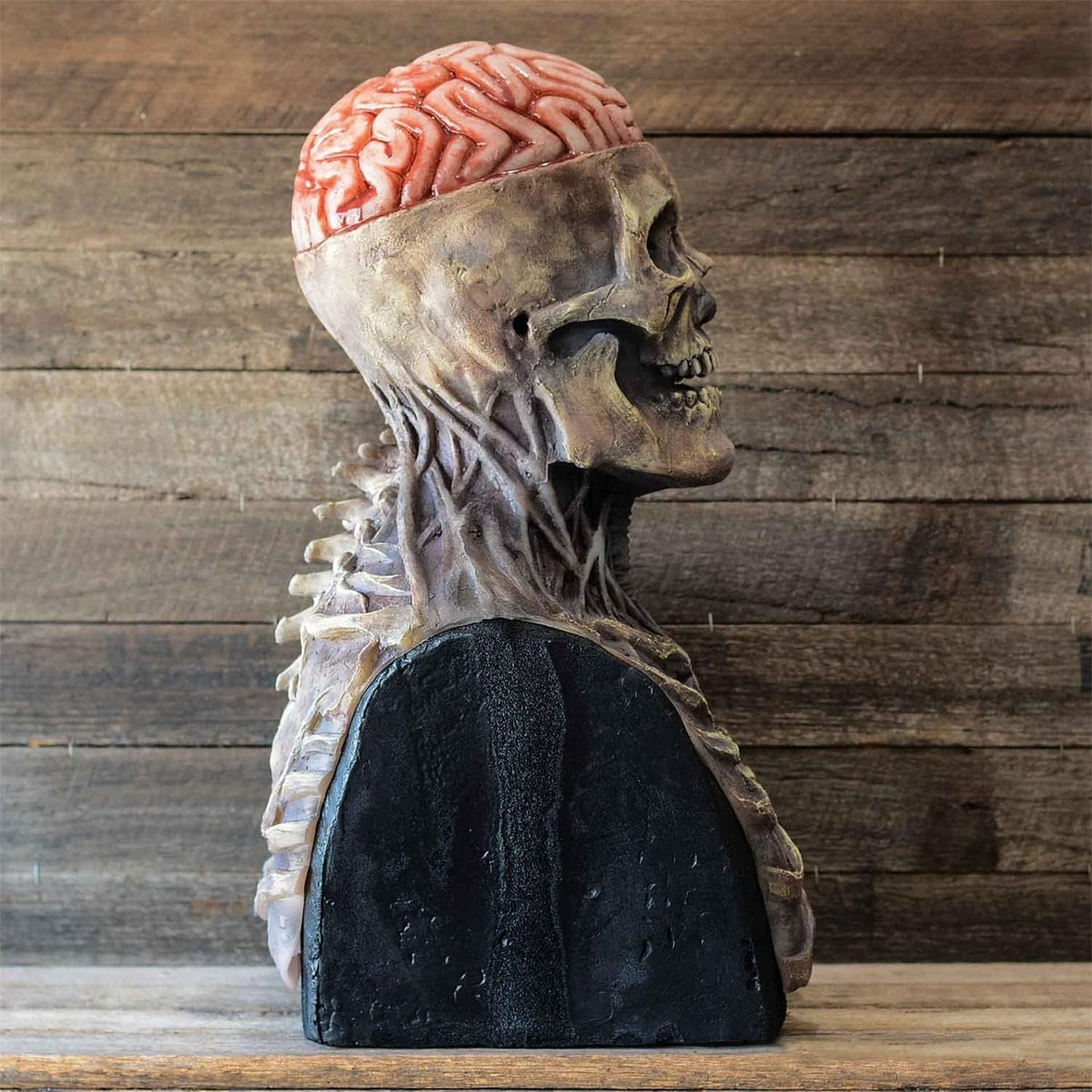 Masque de squelette: masque de déguisement d'Halloween effrayant et réaliste