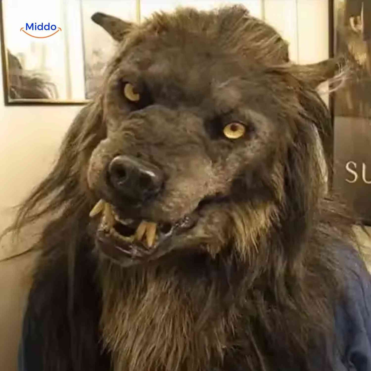 Masque tête de loup en latex, luminescent, idéal pour Halloween