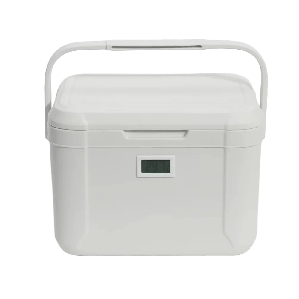 Mini glacière portable de 5 litres pour la voiture et le camping