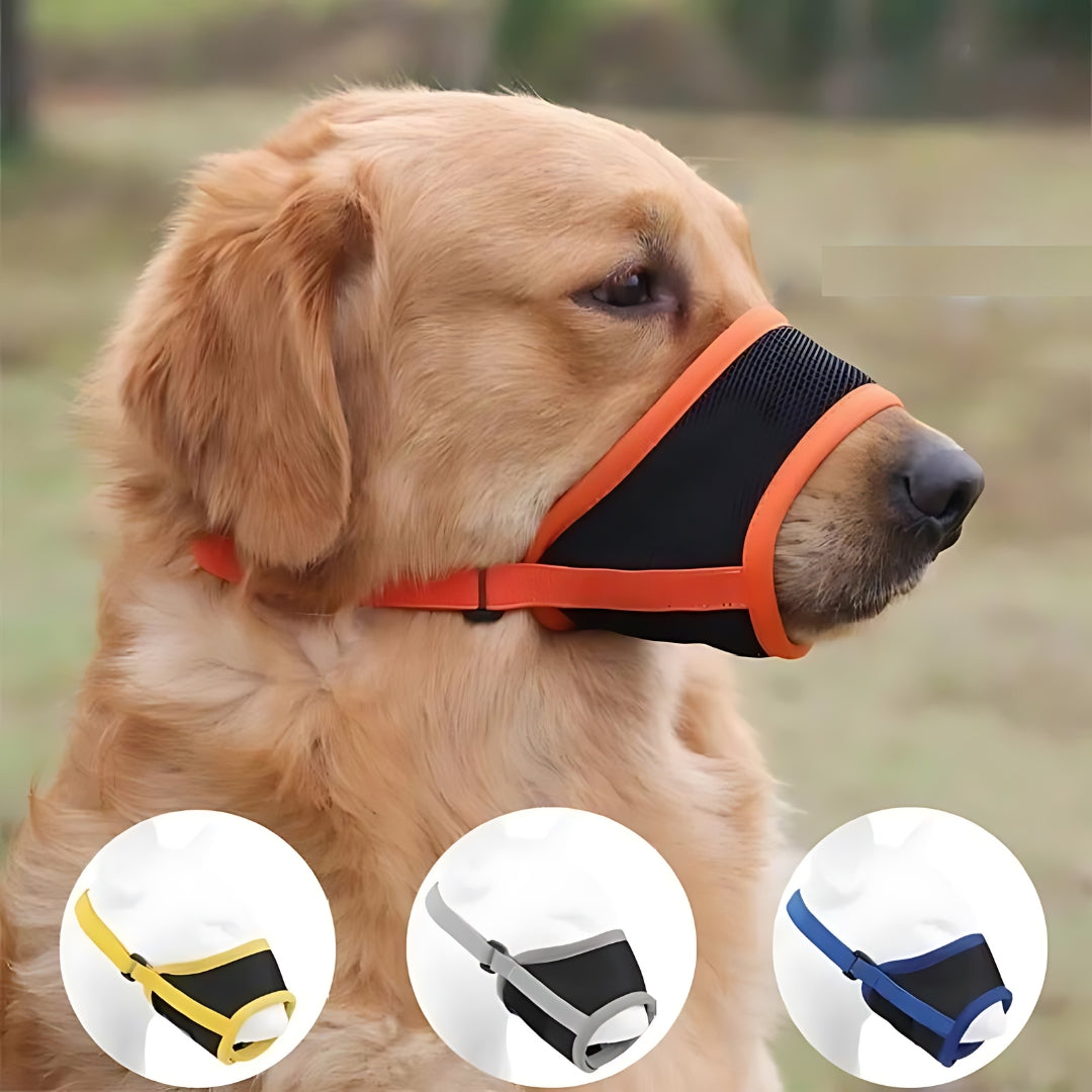 Muselière pour chien pour prévenir les aboiements et les morsures