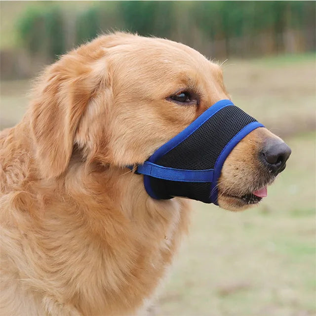 Muselière pour chien pour prévenir les aboiements et les morsures