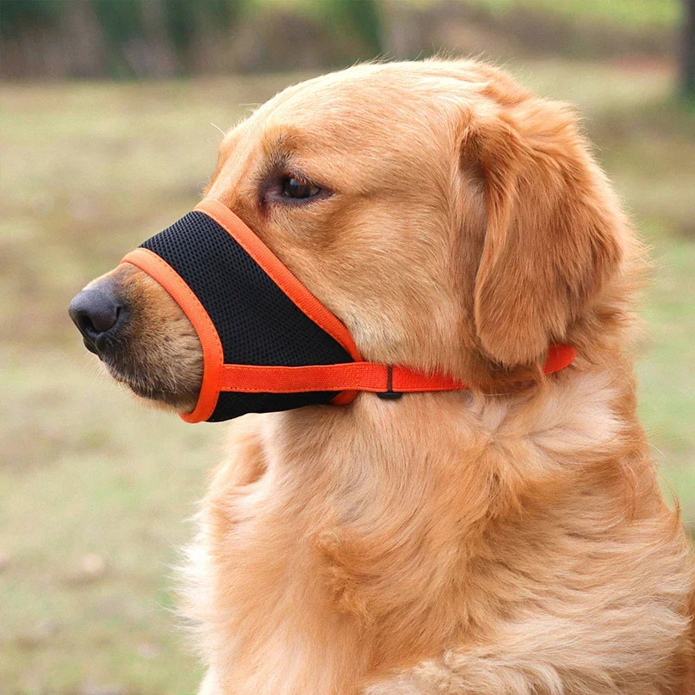Muselière pour chien pour prévenir les aboiements et les morsures