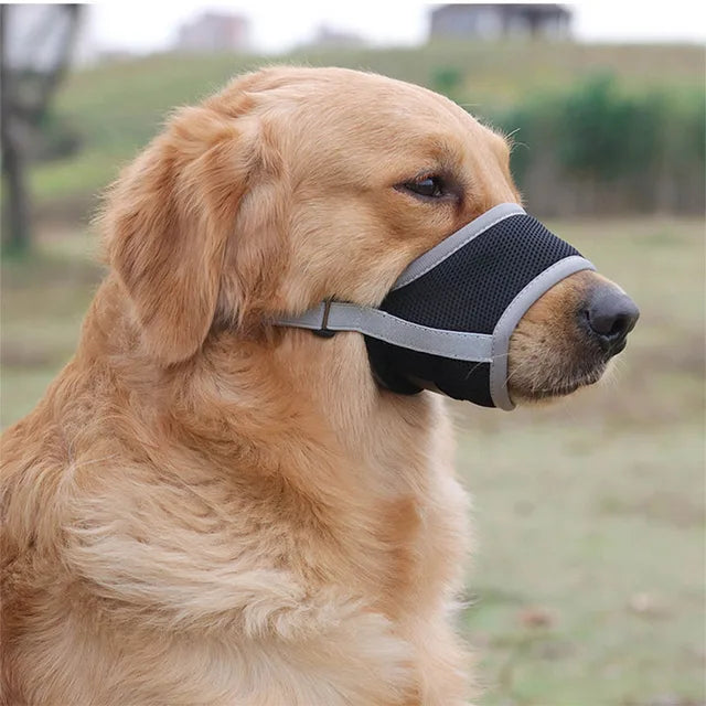 Muselière pour chien pour prévenir les aboiements et les morsures