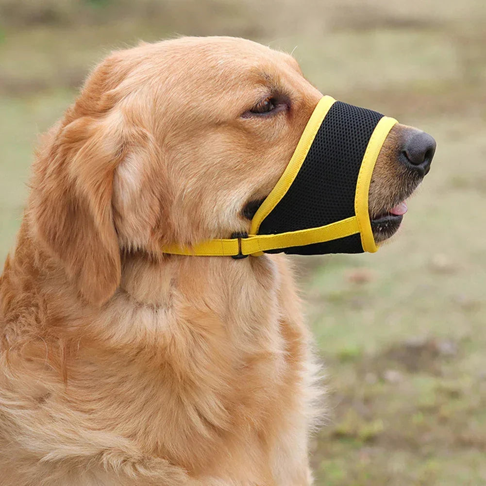 Muselière pour chien pour prévenir les aboiements et les morsures
