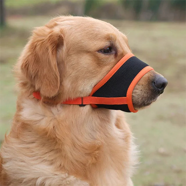 Muselière pour chien pour prévenir les aboiements et les morsures