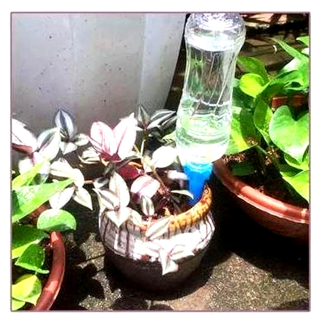 Olvoria | Adjustable Plant Watering Spikes for Gardens & Potted Plants