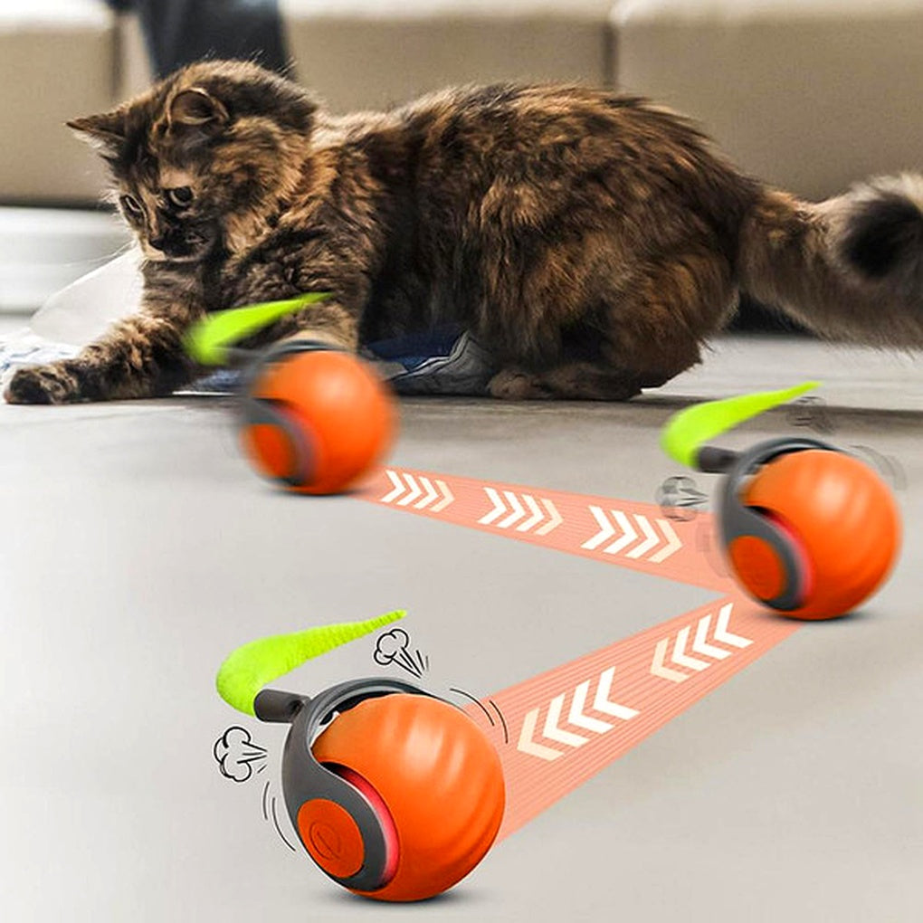 Olvoria | Cat Rolling Ball Toy – Motion Activated Play Sphere