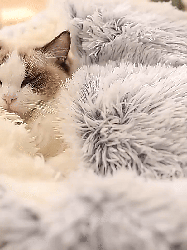 Olvoria | Cozy Cave Pet Bed | Soothing and Comfortable Dog Bed for Deep Relaxation