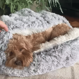 Olvoria | Cozy Cave Pet Bed | Soothing and Comfortable Dog Bed for Deep Relaxation