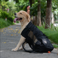 Olvoria | Sac à dos porte-chien