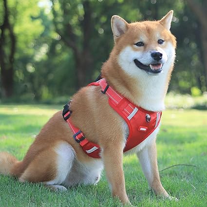 Olvoria | Dog Reflective No-Pull Harness