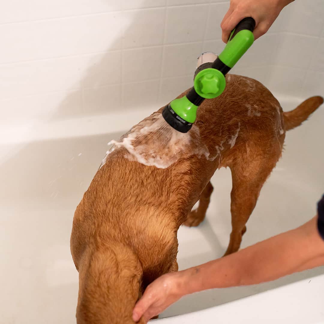 Olvoria | Dog Shower Sprayer - WashBuddy