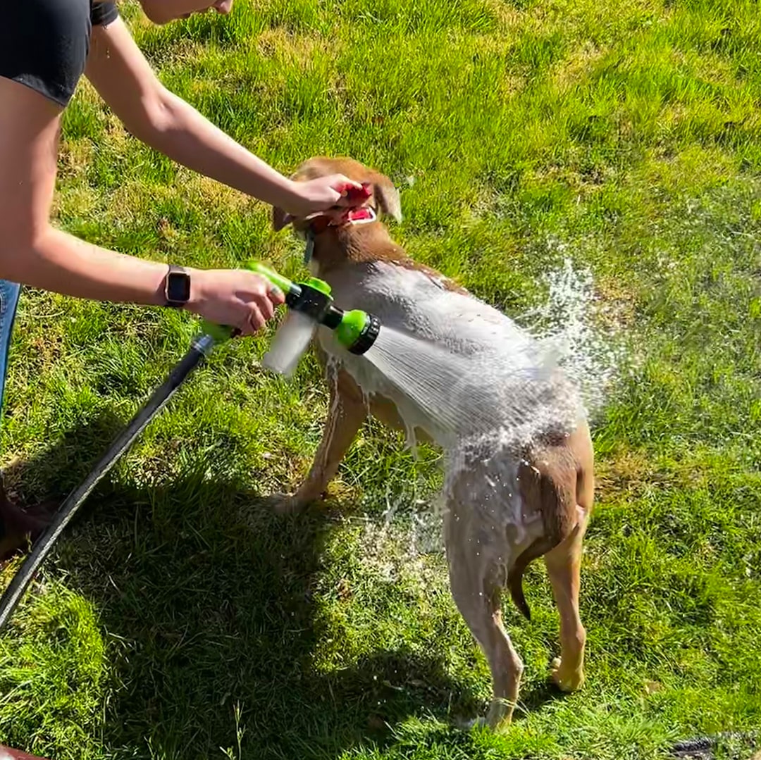 Olvoria | Dog Shower Sprayer - WashBuddy