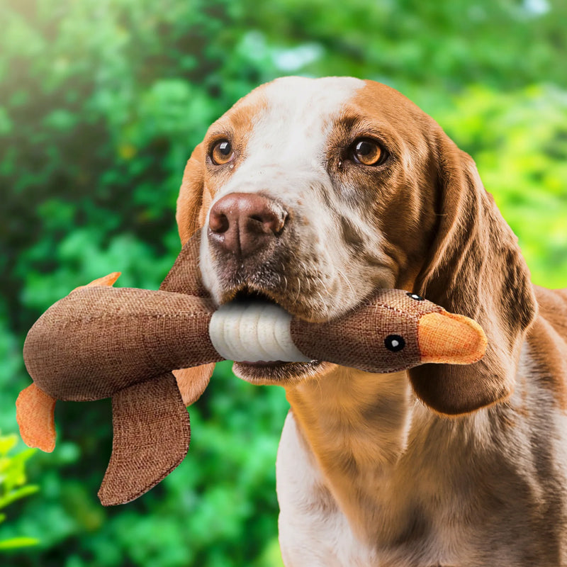 Olvoria | Dog Toy with Duck Design