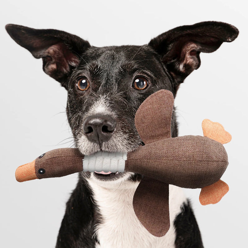 Olvoria | Dog Toy with Duck Design
