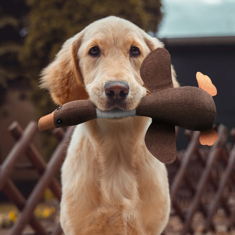 Olvoria | Dog Toy with Duck Design