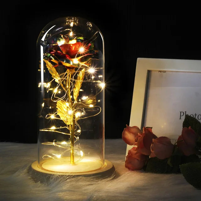 Olvoria – Eternal Rose in Glass Dome with Atmospheric LED Lighting
