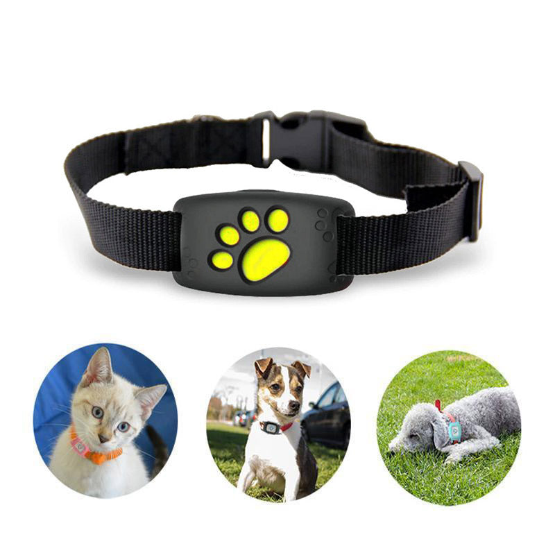 Olvoria | GPS Cat Harness