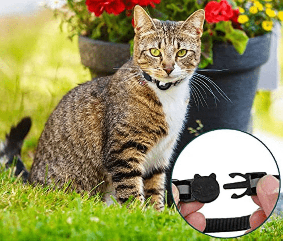 Olvoria | GPS Collar for Cats with Reflective Design