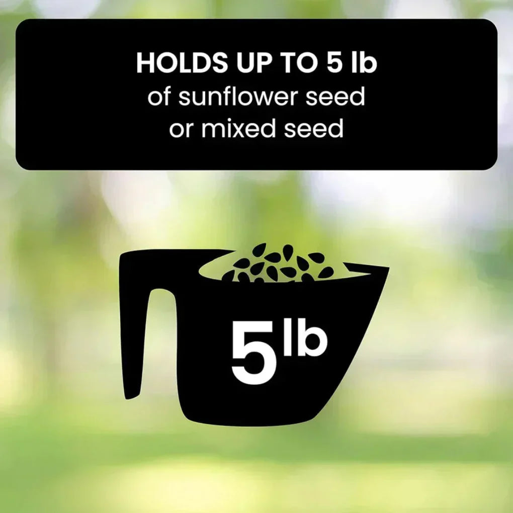 Olvoria | Hanging Bird Feeder for Squirrel-Free Feeding