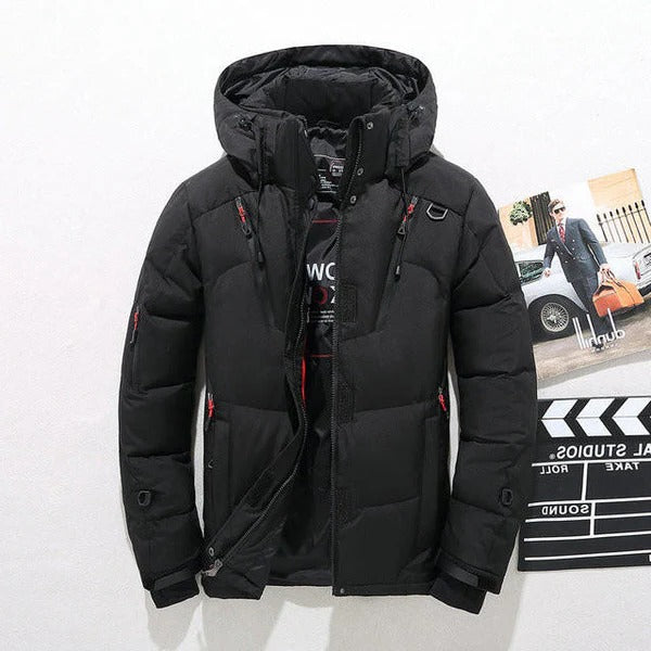 Olvoria | Insulated Jacket Polyester | Zipper, Removable Hood | Fall/Winter