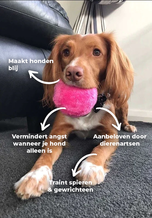 Olvoria | Interactive Dog Play Ball - Automatic Rolling Ball