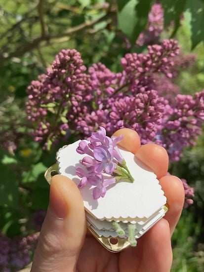 Olvoria | Mini Flower Press | Compact Botanical Keepsake Maker | Portable Craft Tool